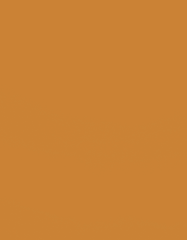 Verduisterend Vouwgordijn Kleurstaal Caramel 